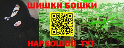 a pvp Бийск