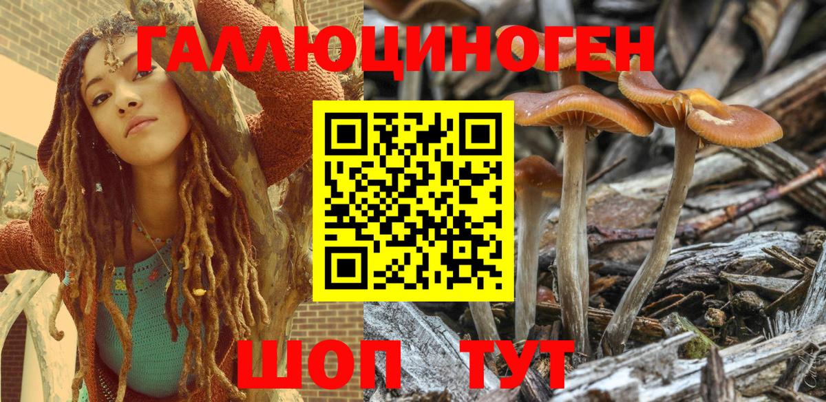 Галлюциногенные грибы Magic Shrooms Дедовск