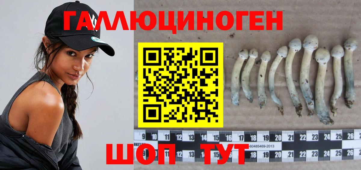 Псилоцибиновые грибы мицелий  Вход с VPN  Дедовск 